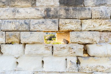 Old ancient brick wall affected by corrosion somewhere in Malta.