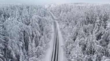The road in forest after snowstorm. Trees with droopy branches near the road. Plateliai, Lithuania.
