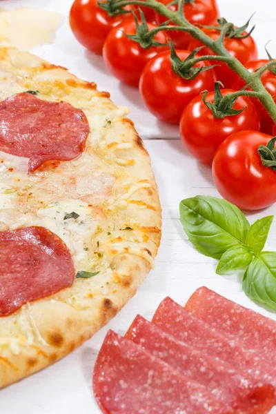 Pizza Salami Ψήσιμο Συστατικά Πορτρέτο Μορφή Ξύλο Ξύλο Σανίδα — Φωτογραφία Αρχείου