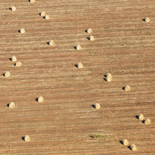 Truss Straw Bale Harvest Harvesting Field Agriculture Farming Square Autumn —  Fotos de Stock