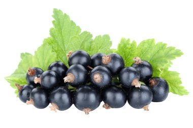 Black currant currants berries berry fruits fruit isolated on a white background