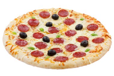 Pizza pepperoni salami isolated on a white background