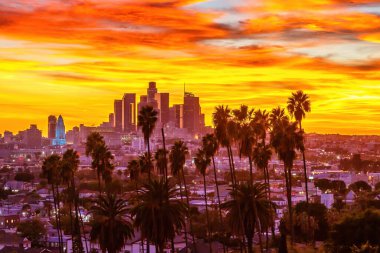 Kaliforniya 'da gün batımında palmiye ağaçlarıyla kaplı Los Angeles şehir merkezi manzarası