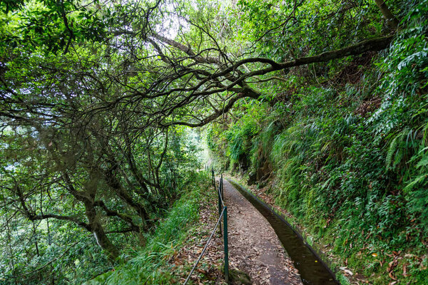 Hiking trail along Levada do Rei hike tour travel on Madeira island in Portugal