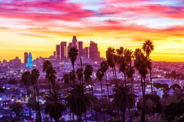 Kaliforniya 'da gün batımında palmiye ağaçlarıyla kaplı Los Angeles şehir merkezi manzarası