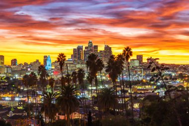 Kaliforniya 'da gün batımında palmiye ağaçlarıyla kaplı Los Angeles şehir merkezi manzarası