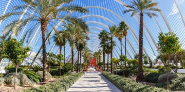 Valencia, İspanya - 17 Şubat 2022 Ciutat de les Arts i les Ciencies with LUmbracle building modern mimari Santiago Calatrava panorama, Valencia, İspanya.