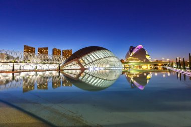 Valencia, İspanya - 17 Şubat 2022 Ciutat de les Arts i les Ciencies Modern mimarisi Santiago Calatrava tarafından Valencia, İspanya.