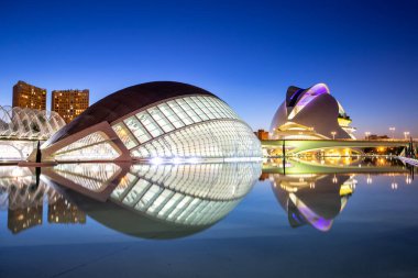 Valencia, İspanya - 17 Şubat 2022 Ciutat de les Arts i les Ciencies Modern mimarisi Santiago Calatrava tarafından Valencia, İspanya.