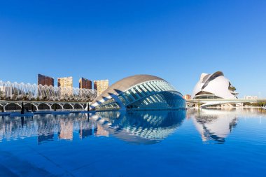 Valencia, İspanya - 18 Şubat 2022 Ciutat de les Arts i les Ciencies Modern mimarisi Santiago Calatrava tarafından Valencia, İspanya.
