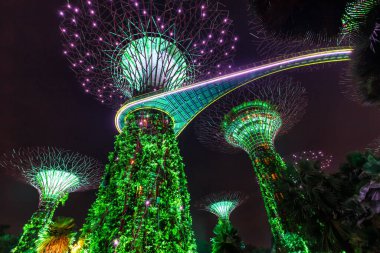 Singapur 'da alacakaranlıkta Supertrees' in simgesi olan körfez kenarındaki bahçeler.