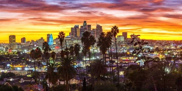 Pohled Centrum Los Angeles Panorama Palmami Při Západu Slunce Panorama — Stock fotografie
