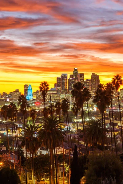 Pohled Centrum Los Angeles Panorama Palmami Při Západu Slunce Cestovní — Stock fotografie