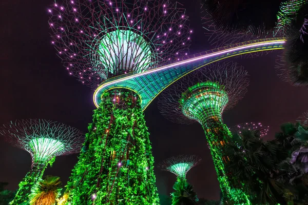 Jardins Bord Baie Avec Monument Supertrees Crépuscule Singapour — Photo