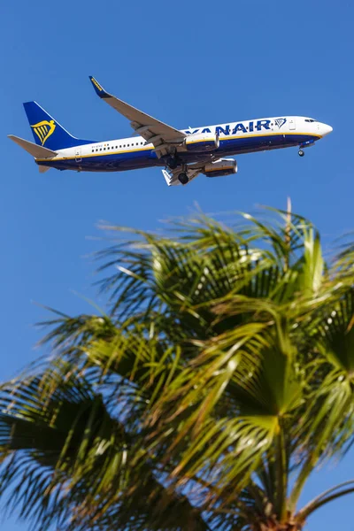 Tenerife España Septiembre 2022 Ryanair Boeing 737 800 Avión Aeropuerto — Foto de Stock