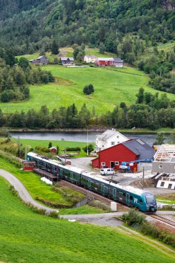 Seimsgrend, Norveç - 17 Ağustos 2022 VY Vossebane bölgesel treni Seimsgrend, Norveç yakınlarındaki Bergen Demiryolu portresi formatı.