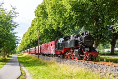 Almanya, Bad Doberan 'da Baederbahn Molli lokomotif tren rayları