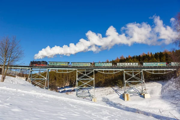 Oberwiesenthal Niemcy Grudnia 2022 Kolej Parowa Fichtelbergbahn Moście Zimą Oberwiesenthal — Zdjęcie stockowe