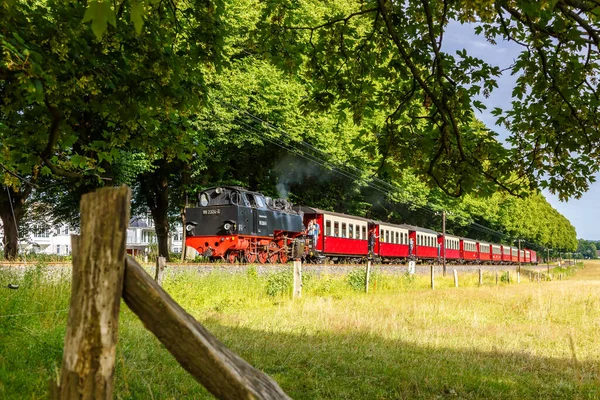 Baederbahn Molli Lokomotiva Železniční Železnice Bad Doberan Německo — Stock fotografie
