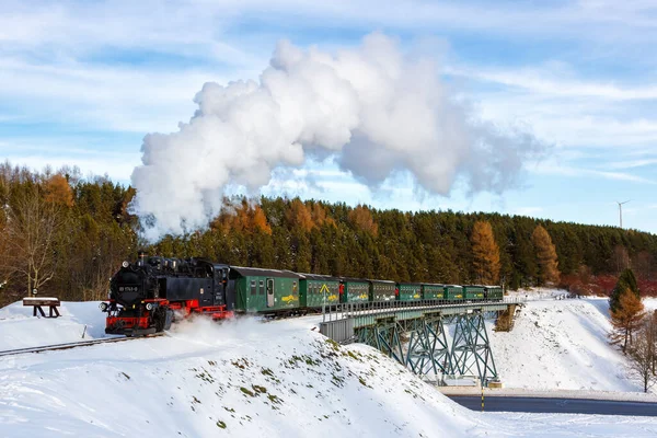 Oberwiesenthal Tyskland December 2022 Fichtelbergbahn Ånglok Järnväg Bro Vintern Oberwiesenthal — Stockfoto