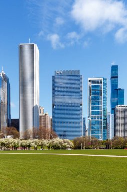 Chicago şehrinin gökdelen portresi ABD 'de seyahat ediyor.