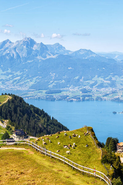 View from Rigi mountain on Swiss Alps, Lake Lucerne and Pilatus mountains portrait format vacation in Switzerland