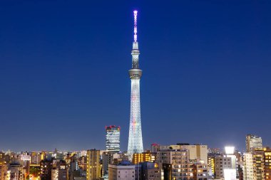 Japonya 'nın alacakaranlık şehrinde ufuk çizgisi olan Tokyo SkyTree Kulesi