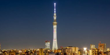 Japonya 'nın Alacakaranlık Şehri' nde gökdelenli Tokyo Skytree kulesi