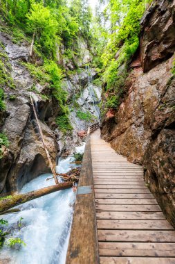 Wimbachklamm Wimbach canyon in the Bavarian Alps portrait format in Ramsau Bavaria near Berchtesgaden, Germany clipart