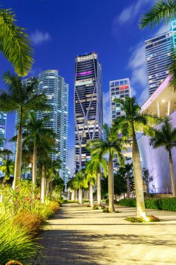 Maurice A 'da gökdelenleri olan Miami gökdelenleri. Miami, ABD 'de gece mavi saat portre biçiminde park edin