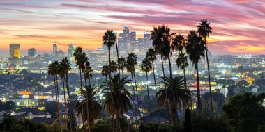 Los Angeles ufuk çizgisi ve şehir merkezi. Gün batımında palmiye ağaçları ABD 'de Ela Park Kaliforniya' da.