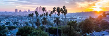 Los Angeles silueti ve şehir merkezi, gün batımında Ela Park California 'da palmiye ağaçları manzarası.