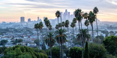 Los Angeles ufuk çizgisi ve şehir merkezi. Gün batımında palmiye ağaçları ABD 'de Ela Park Kaliforniya' da.