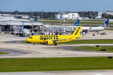 Tampa, ABD - 17 Ekim 2024: Spirit Airlines Airbus A320neo uçağı ABD 'deki Tampa Havaalanında.