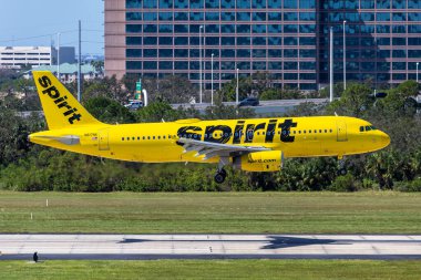 Tampa, ABD - 17 Ekim 2024: Spirit Airlines Airbus A320 ABD 'deki Tampa Havaalanı' nda uçak.