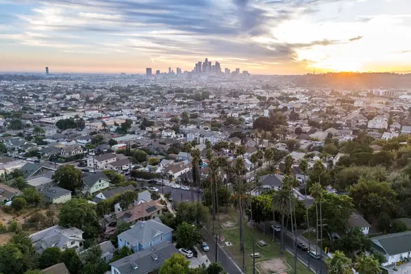 Kaliforniya 'da günbatımında palmiye ağaçları olan Los Angeles gökyüzü manzaralı hava aracı.