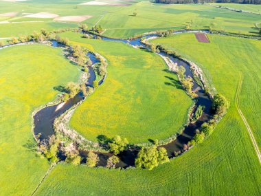Genç Tuna nehri manzarası yukarıdan Almanya 'da Geisingen yakınlarında seyahat ediyor.