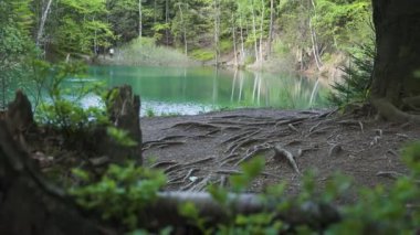 05 Mayıs 2025, Rudawy Janowickie, Polonya. Mavi göl. Rudawy Janowickie, Aşağı Silezya 'daki renkli göller bölgesinde bulunan madendeki su rezervlerinden biri. Ormanla çevrili.