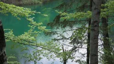  Kaba Janowickie, Polonya. Mavi göl. Rudawy Janowickie, Aşağı Silezya 'daki renkli göller bölgesinde bulunan madendeki su rezervlerinden biri. Ormanla çevrili.
