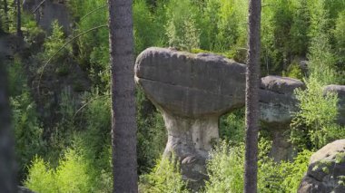 Yazın Gorzeszw 'daki ünlü Boulders Dwarfs doğa rezervindeki kireçtaşı ve kumtaşı kaya oluşumları. Polonya, Aşağı Silezya. 