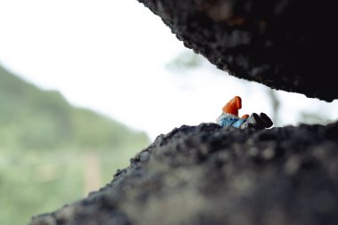 Sokolec Kalesi, harabeler. Plastik bir cüce figürü bir kayanın altında yatar ve tepeyi gözlemler. Polonya dağlarında tuhaf bir eğilim