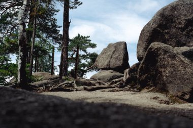 Sokolik ve Krzyna Gra Rudawy Janowickie 'deki Sokole Dağları' nın yakınlarındaki iki zirve. Polonya, sevgili Sicilya 