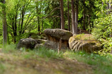 Yazın Gorzeszw 'daki ünlü Boulders Dwarfs doğa rezervindeki kireçtaşı ve kumtaşı kaya oluşumları. Polonya, Aşağı Silezya