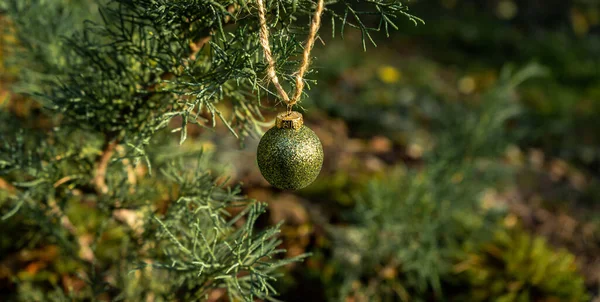 Fundo Galhos Verdes Uma Árvore Natal Com Bola Colorida Brilhante — Fotografia de Stock