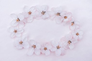 cute graceful fragile delicate spring apple flowers with space for design