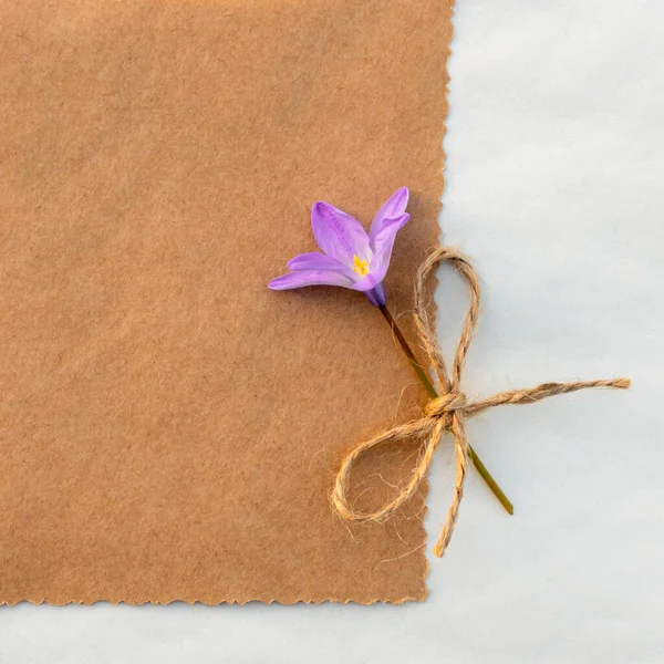 コピースペース付き繊細な春の花と春のカード — ストック写真