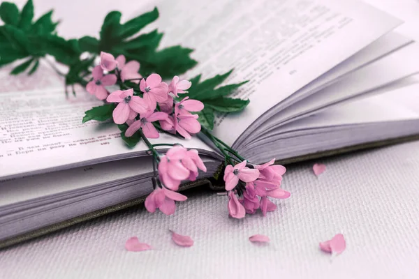 本の上に春の花の花束とロマンチックなカード — ストック写真