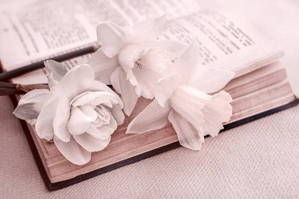 本の上に春の花の花束とロマンチックなカード — ストック写真