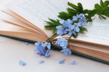 Açık bir kitapta narin bir bahar çiçeği buketi..