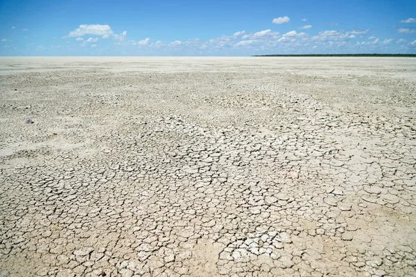 Kurak Iklim Değişikliğinin Kurumuş Tuz Tavasının Görüntüsü Stok Resim